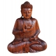 Buddha in meditazione