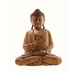 Buddha in meditazione