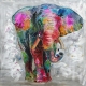 QUADRO ELEFANTE RAINBOW