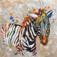 QUADRO ZEBRA RAINBOW